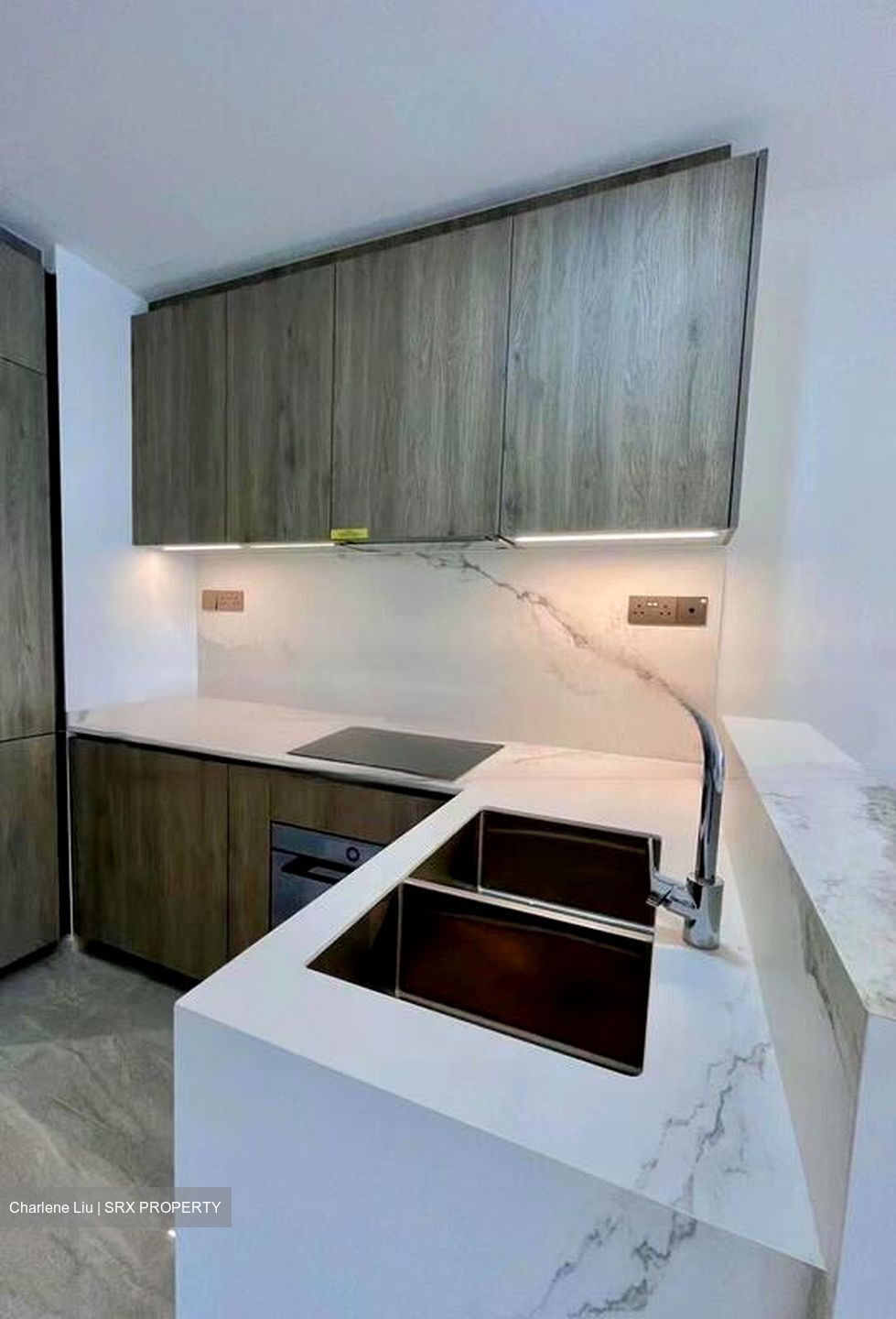Leedon Green (D10), Condominium #446746641